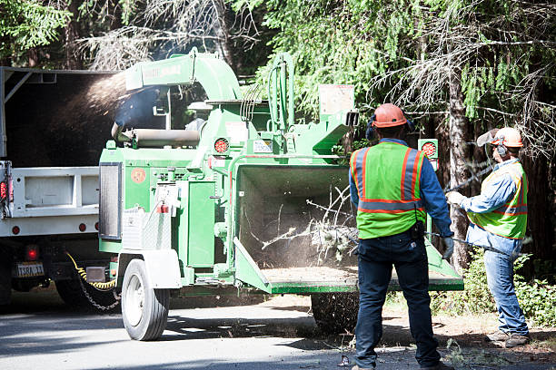 Best Tree Mulching  in Valdez, AK